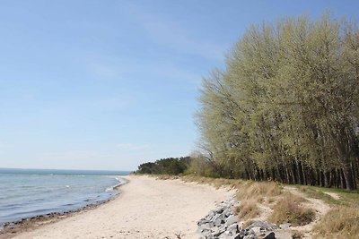 Haus Südperd FeWo Strandwinde:...