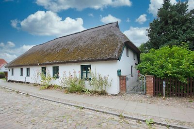 Ferienhaus Storchennest Haus R: Terrasse,...