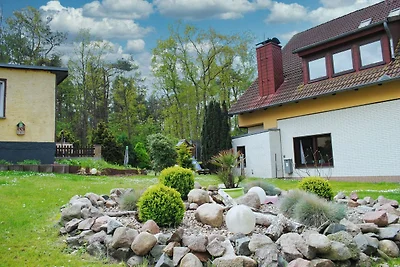 Meeresblick FeWo77: Terrasse, Sauna,...