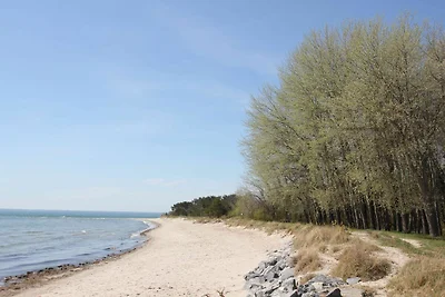 Appartamento Vacanza con famiglia Thiessow