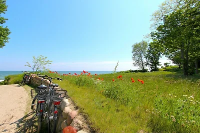 Appartamento Vacanza con famiglia Middelhagen