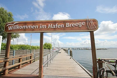 Villa Seeschwalbe FeWo 10: Balkon, Meerblick