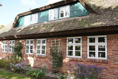 Haus Ruge Haus: Garten, Kamin, Sauna