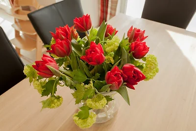 Haus Hafenflair Haus: Terrasse, Kamin, eigene...