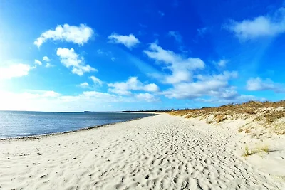 Rex Rugia FeWo12-5:...