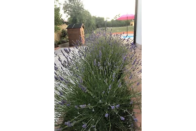 Villa »Lavanda« für 6 Pers. m. Pool