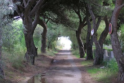 Le Clôt du Soleile Nr.11