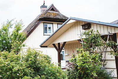 Ferienhaus Ziemann in Wieck a Darß