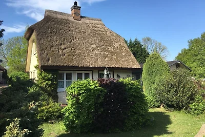 Ferienhaus Ziemann in Wieck a Darß