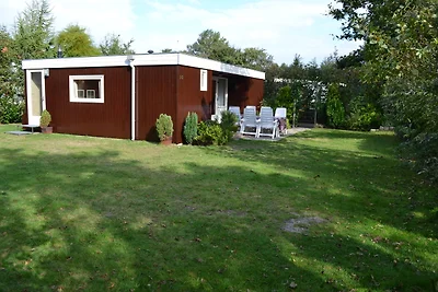 Renesse