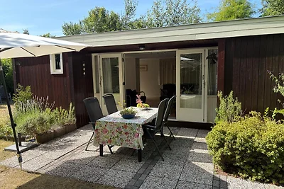 Renesse