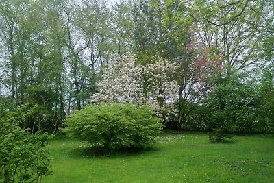 Ferienhaus am Teich