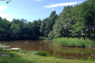 Ferienhaus am Teich