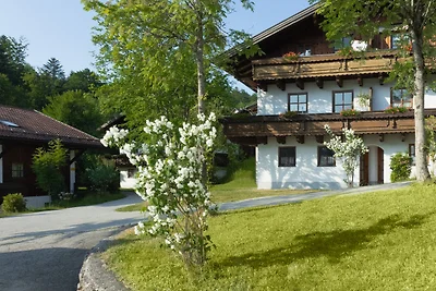 Ferienwohnung - Pool, Sauna, 4 Pers