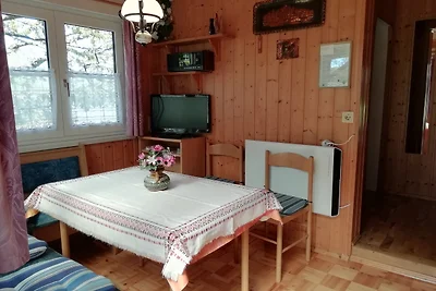 Ferienhaus 2-4 Personen/Burgblick