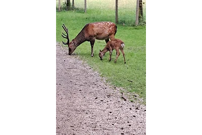 Familie Wiegärtner