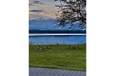 Ferienhaus mit Seeblick und Kamin