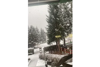 Gletscherblick
