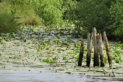 Seeglück