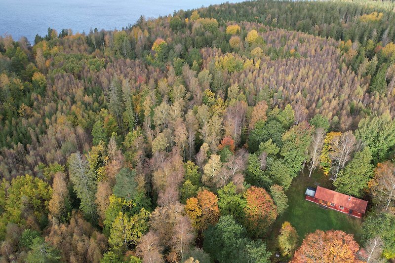 Ferienhaus umgeben von üppiger Natur und Nahe am Bade- und Angelsee Skärsjön