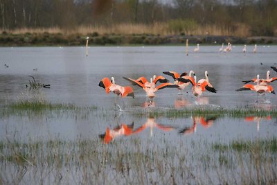 Erholungstipp Seerose 66, Vreden