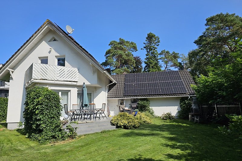 Fenster, Haus, Baum, Garten, Himmel, Gras, Pflanze.