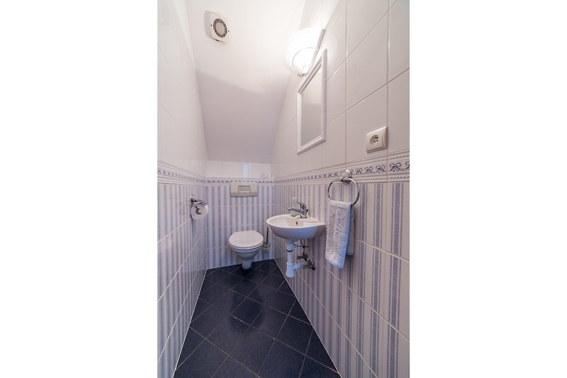 The upstairs toilet