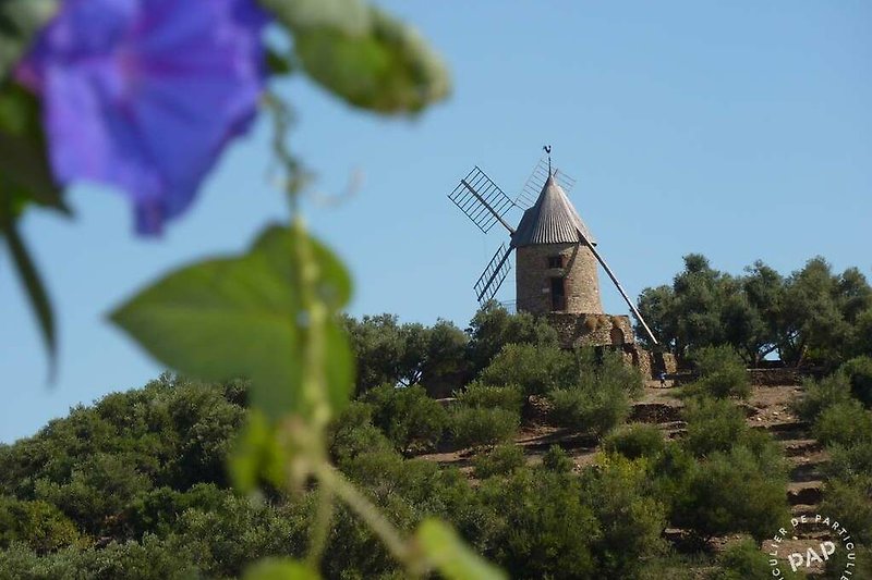 Détendez-vous dans cette nature luxuriante avec un moulin à vent pittoresque. Profitez de la tranquillité et de la beauté de la campagne.