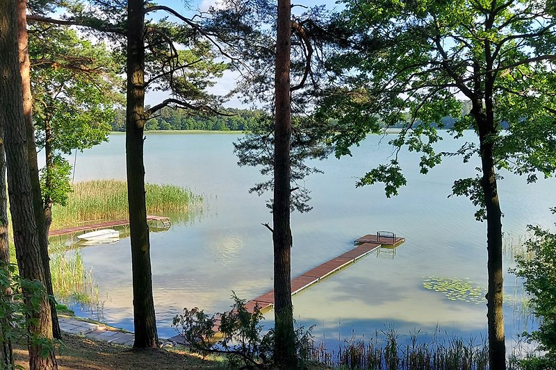 Schönes Ferienhaus mit einenem Steg mit malerischem See und üppiger Vegetation. Perfekt für Naturliebhaber .