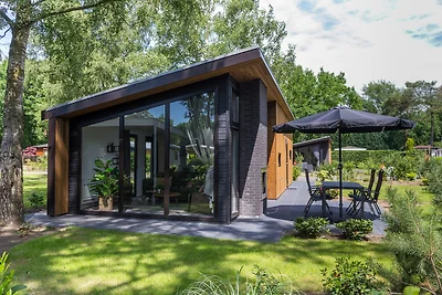 Bos Lodge 55 Eco 4 Personen