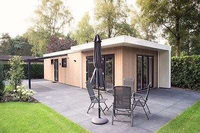 Park Lodge de Luxe 4 Personen mit Hottub