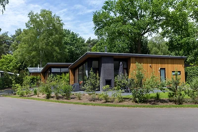Bos Lodge Eco 55 4 Personen mit Hottub