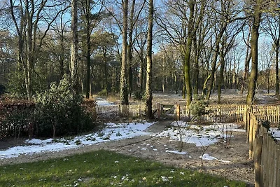 Natuur Lodge Eco 4 Personen mit Hottub und...