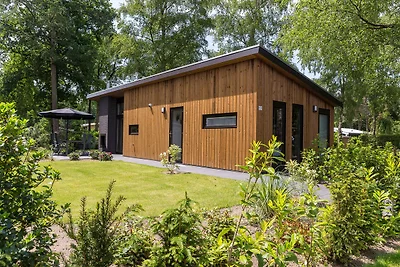 Bos Lodge 55 Eco 4 Personen