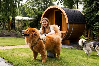 Berken Lodge Eco 4 personen met sauna