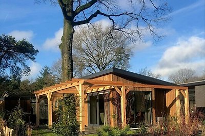 Heide Lodge Eco 4 personen met Sauna