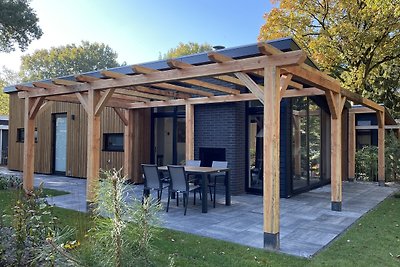 Berken Lodge Eco 6 personen met Hottub en...