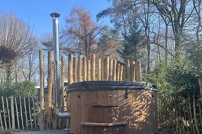 Berken Lodge Eco 6 Personen mit Hottub und...
