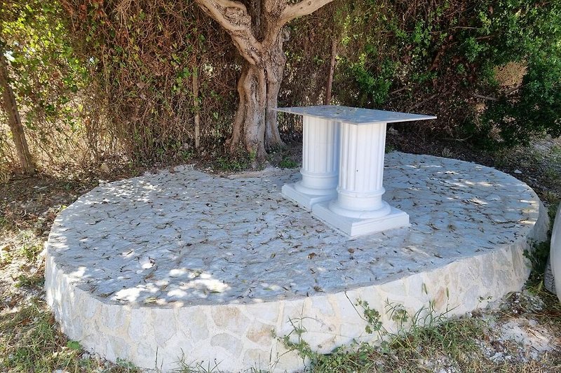 Ein idyllischer Platz unter einem Olivenbaum.