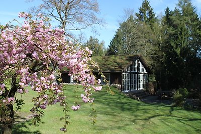 Studiohaus in der Nordheide