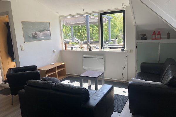 Ferienwohnung Scharendijke