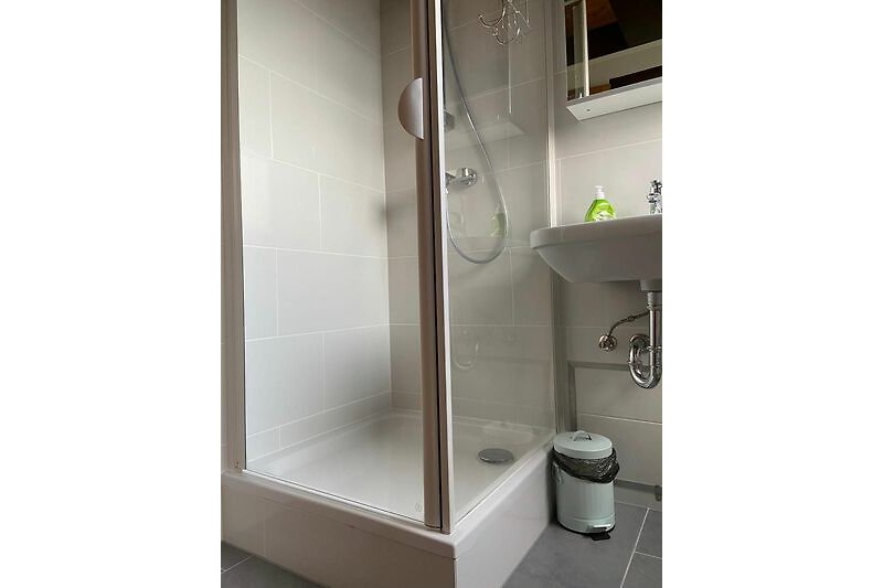 Modernes Badezimmer mit Dusche, Waschbecken und stilvoller Ausstattung.