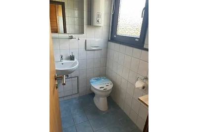 Nurdachhaus 210