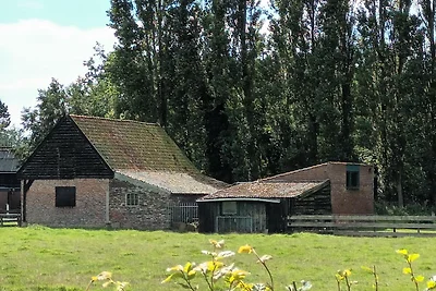 Casa Bulbos