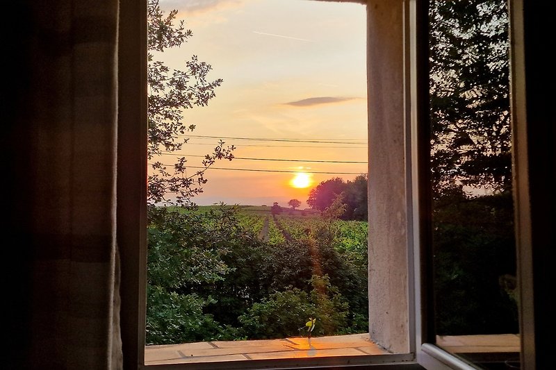 Abendsonne Ausblick Küchenfenster