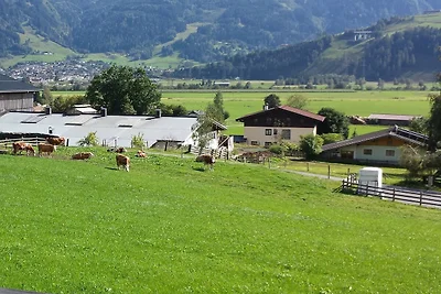 Appartement Amadeus Kaprun