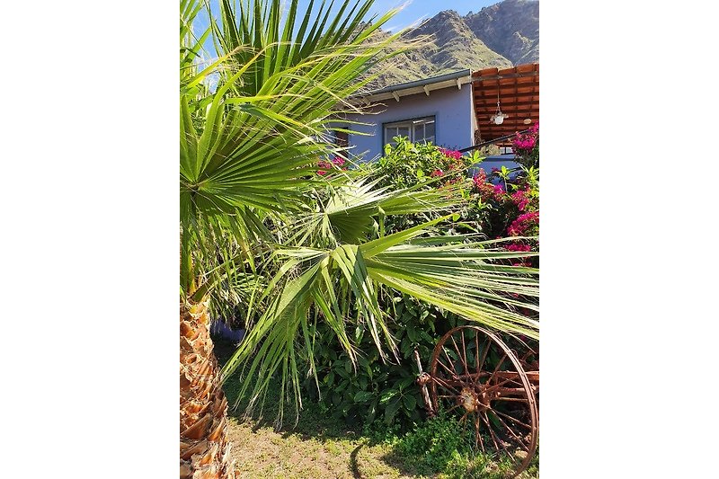 Schönes Ferienhaus mit blühenden Pflanzen, Palmen und einem malerischen Garten.