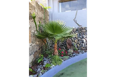 Finca Las Mariposas 1