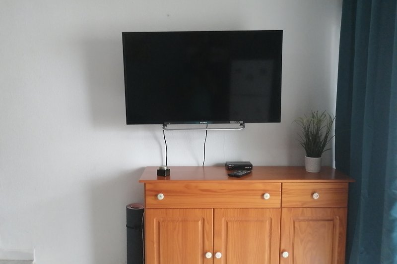 Fernseher