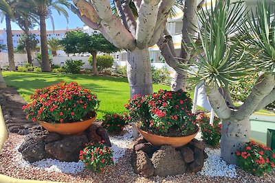 Paraiso Maspalomas